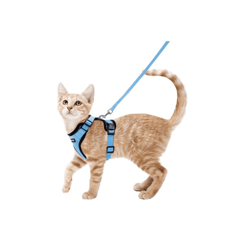 Pechera entera para gato