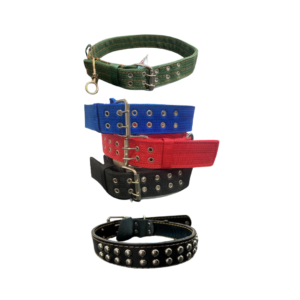 Collar chico para perro mediano