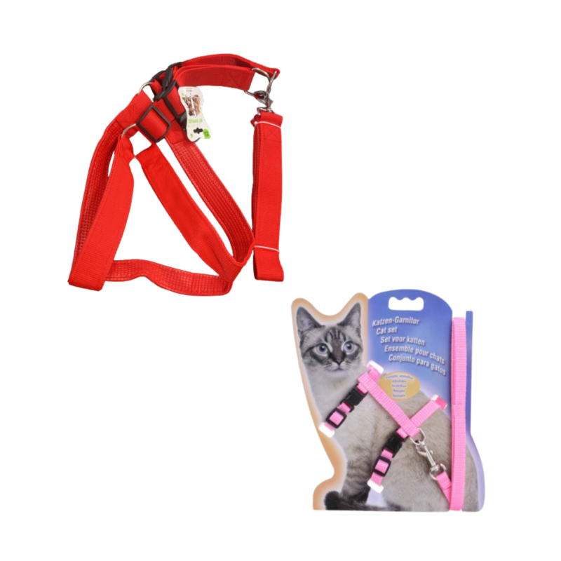 Caña para gato