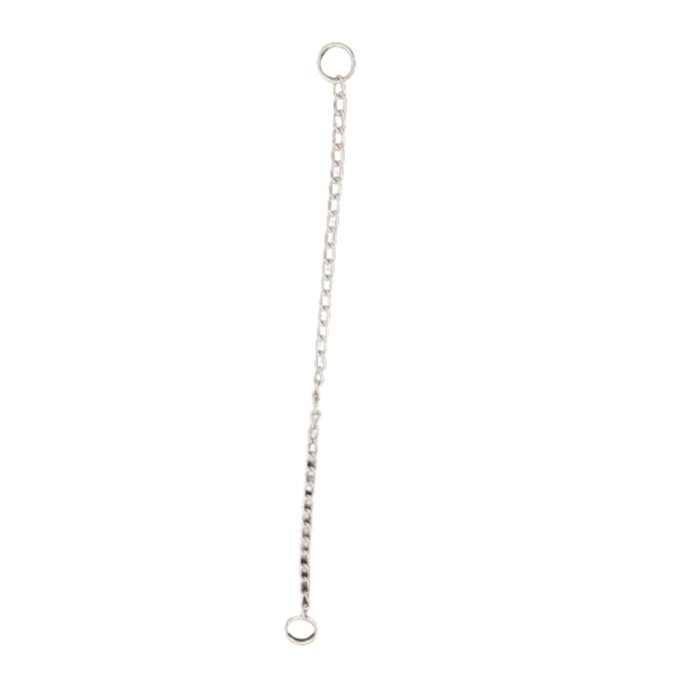 collar de ahorque para perro
