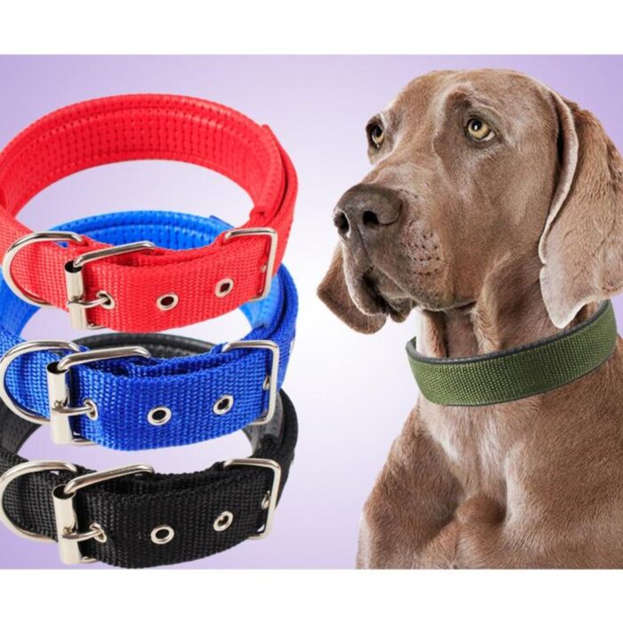 Collar con cuero chico