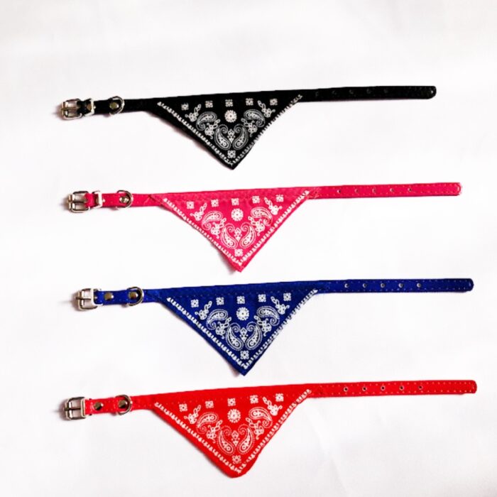 Collares con pañuelo para gato