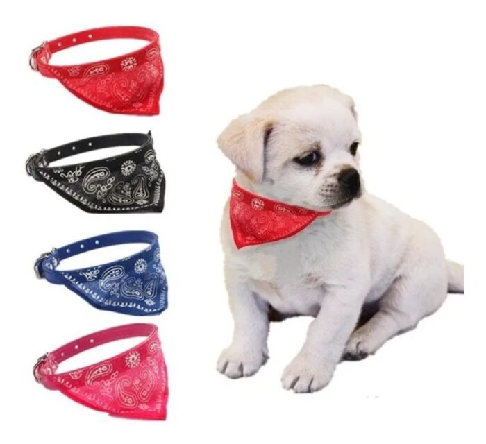 Collar con pañuelo, para perro