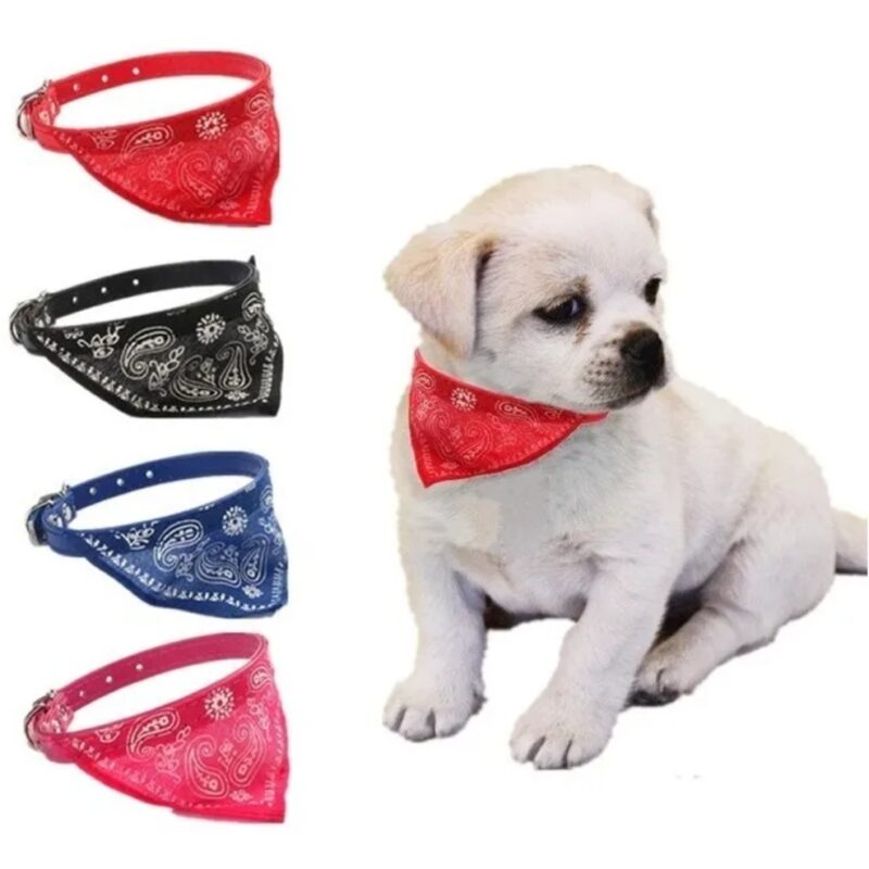 Collar con pañuelo, para perro