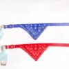 Collar con pañuelo, para perro
