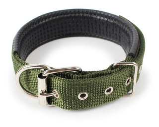 Collar chico para perro mediano