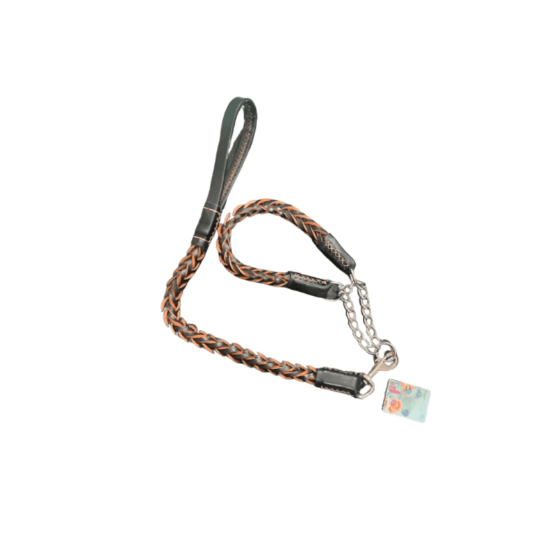 Correa con collar