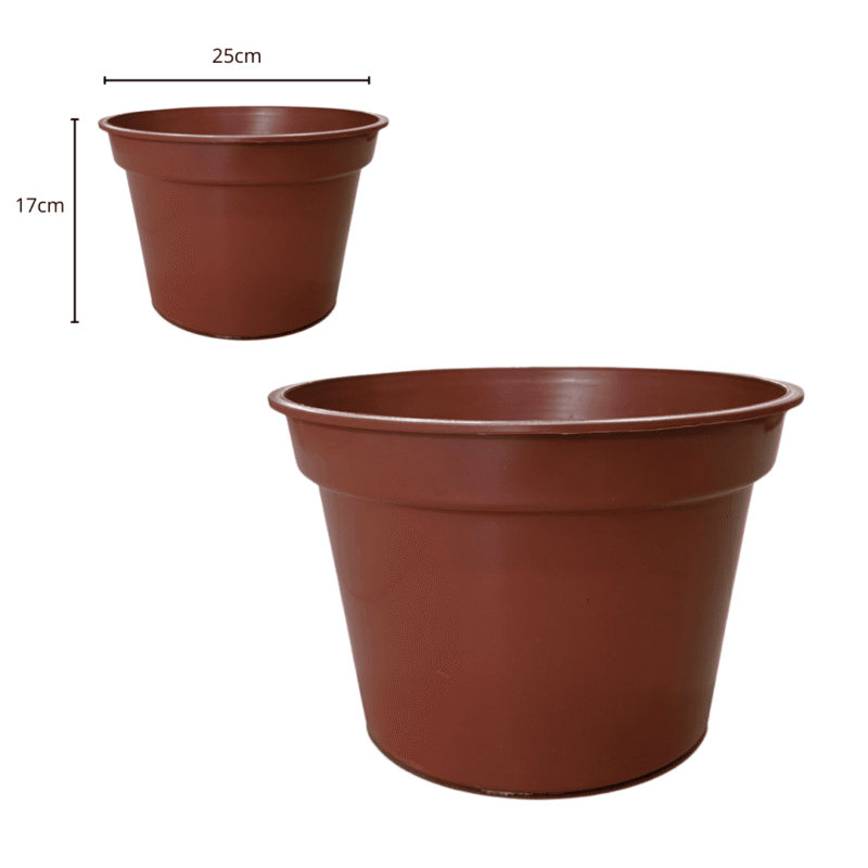 Maceta vaso